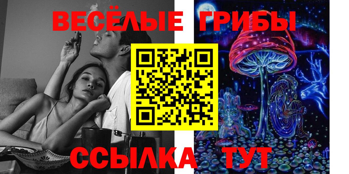 Балашиха  Псилоцибиновые грибы ЛСД  Вход с VPN  Псилоцибиновые грибы ЛСД 