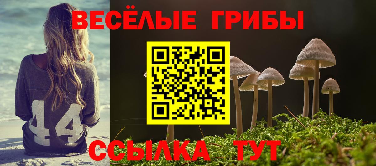 Псилоцибиновые грибы MAGIC MUSHROOMS Балашиха